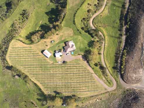 307 Campbell Road, Pukehina