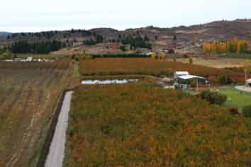 13 Blackman Road, Earnscleugh