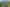 56A Whitmore Street, Kihikihi