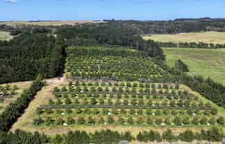 5126 State Highway One, Ngataki