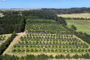 5126 State Highway One, Ngataki