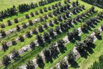 5126 State Highway One, Ngataki