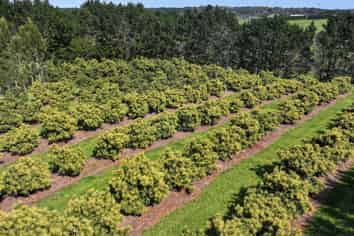 5126 State Highway One, Ngataki