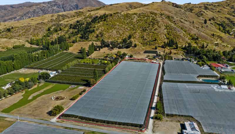 260 Ripponvale Road, Cromwell