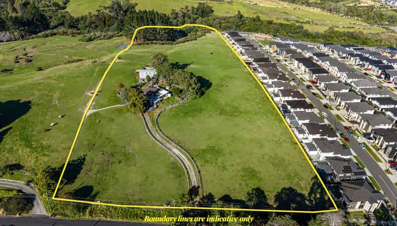 73 Longhorn Drive, Flat Bush