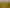 Otago - Address withheld