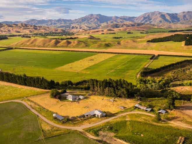 Otago - Address withheld