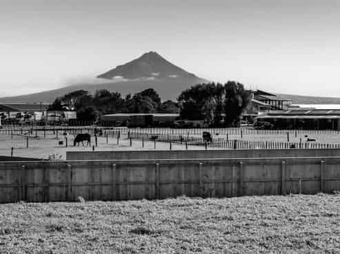 38 Fantham Street, HAWERA
