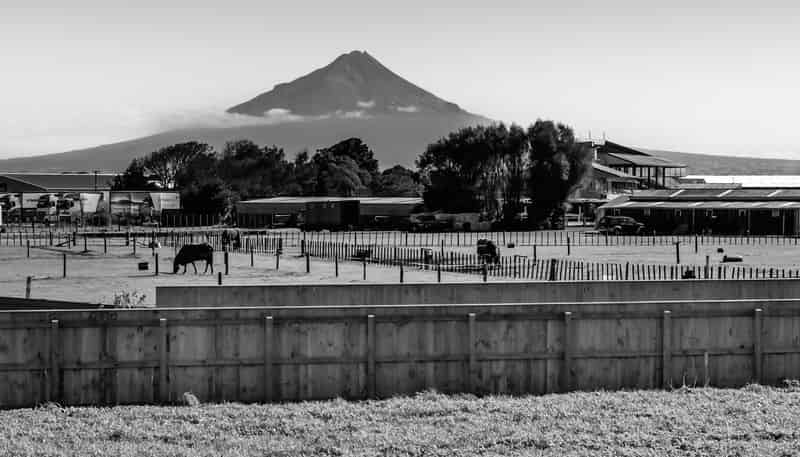 38 Fantham Street, HAWERA