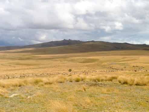 1109 Little Valley Road, Alexandra