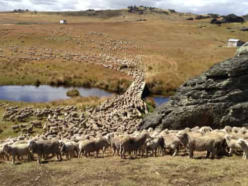 1109 Little Valley Road, Alexandra