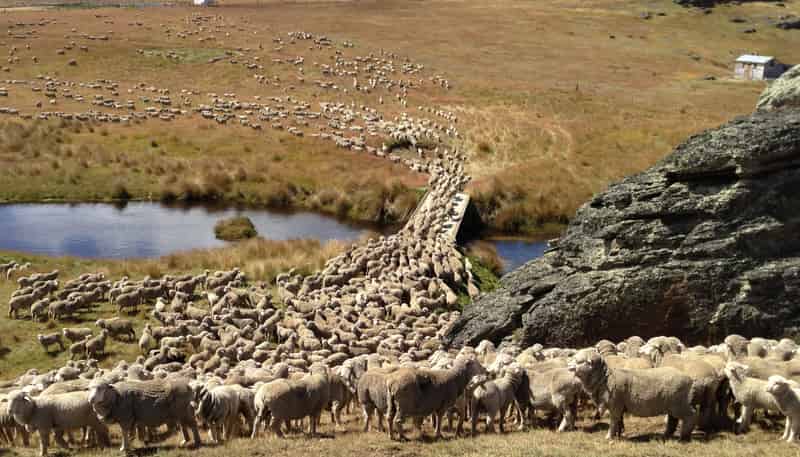 1109 Little Valley Road, Alexandra