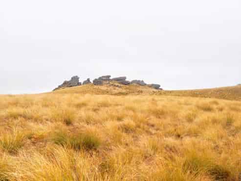 1109 Little Valley Road, Alexandra