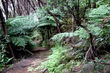 Northland - Address withheld