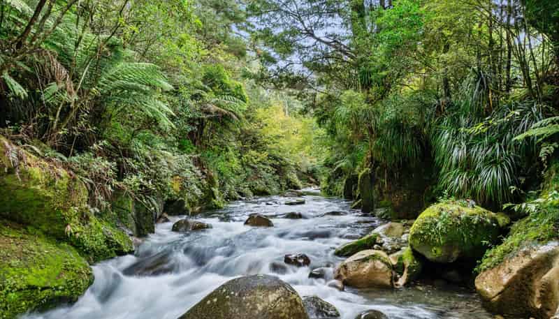 93 Upland Road, Aongatete