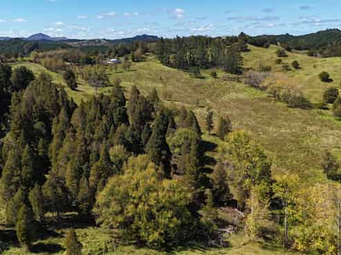 46 Buchanan Road, Herekino