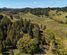 46 Buchanan Road, Herekino, Far North, Northland