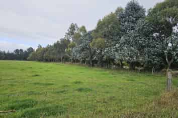 160 Pesters Road, West Eyreton