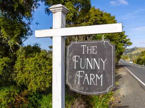 1245 Whangaripo Valley Road, Matakana