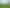 113 Eban Avenue, Hillcrest