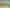 113 Eban Avenue, Hillcrest