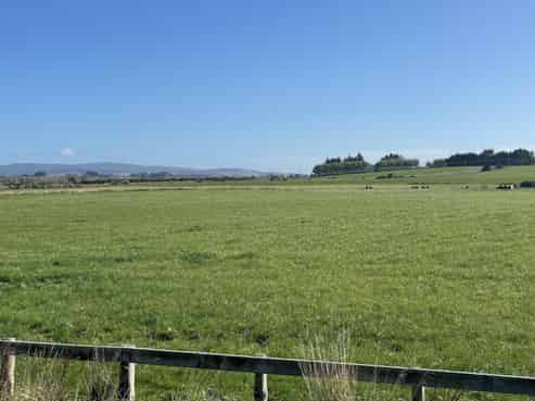 488 Thornbury Waimatuku Road, Thornbury