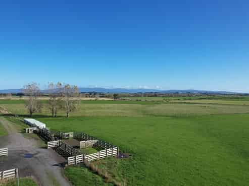 488 Thornbury Waimatuku Road, Thornbury
