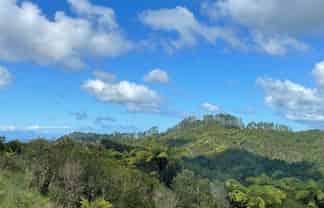 1/357 Govan Wilson Road, Matakana