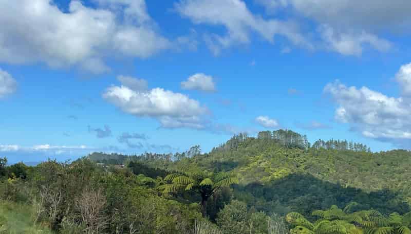 1/357 Govan Wilson Road, Matakana