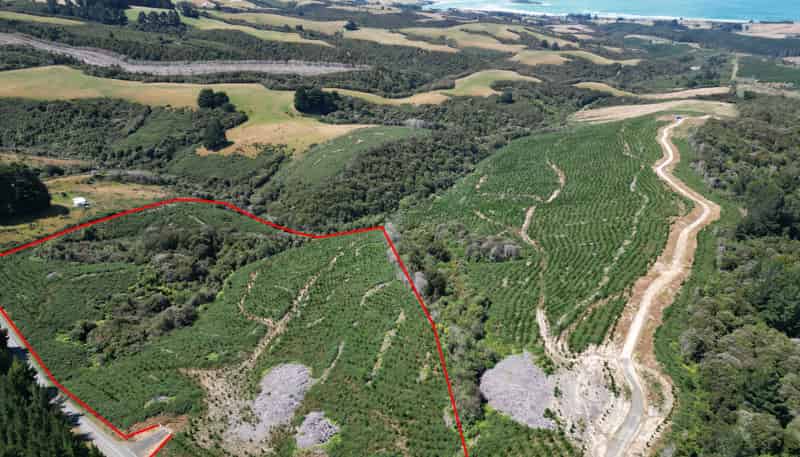 530 Taieri Beach Road, Taieri Beach