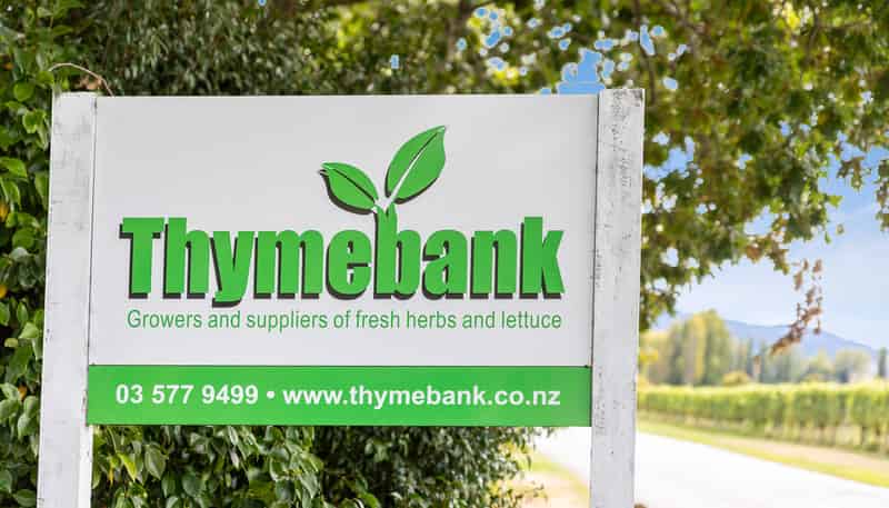31 Hammerichs Road, Rapaura
