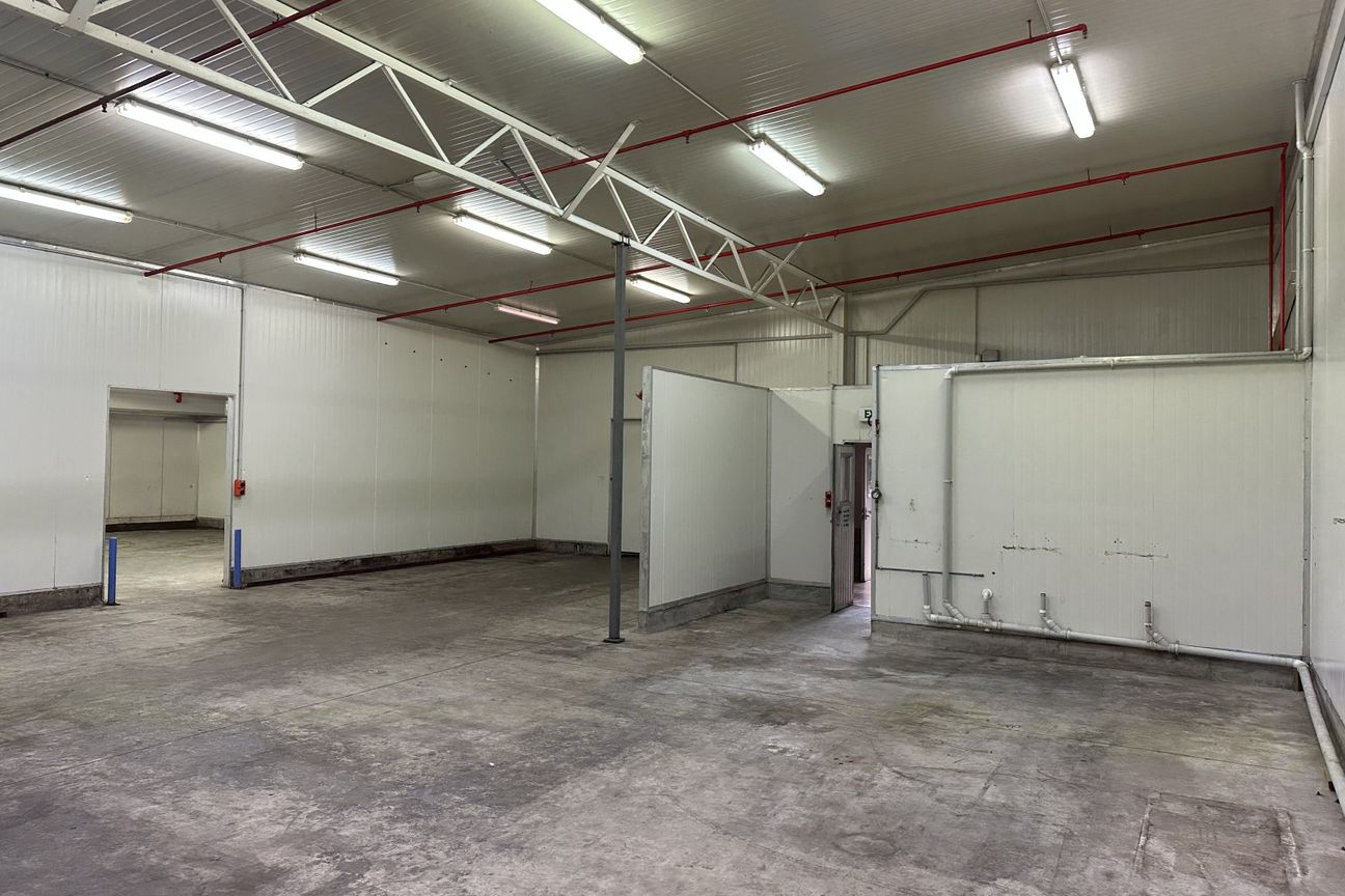 Smaller Cool Store Space - Kaikorai Valley - Bild 4