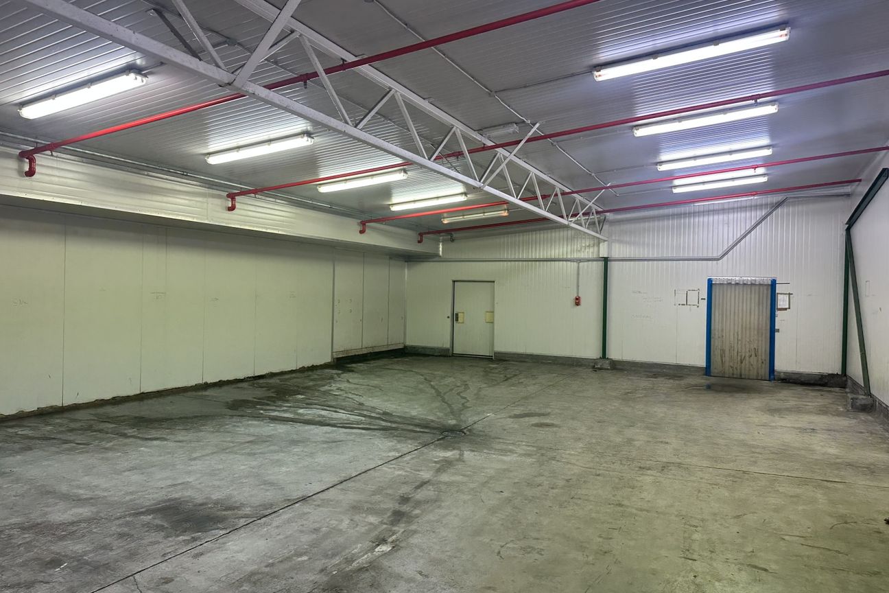 Smaller Cool Store Space - Kaikorai Valley - Bild 2