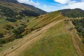  Te Munga & Te Huia, Martinborough