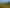  Te Munga & Te Huia, Martinborough