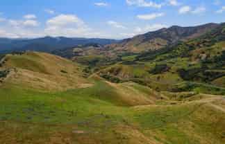 Te Munga & Te Huia, Martinborough