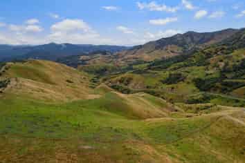  Te Munga & Te Huia, Martinborough
