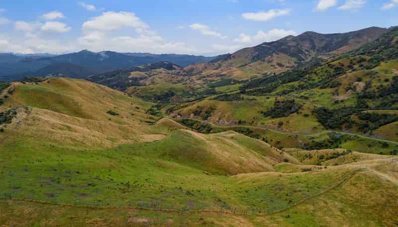  Te Munga & Te Huia, Martinborough
