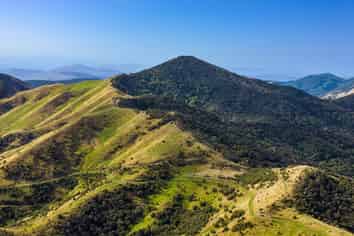  Te Munga & Te Huia, Martinborough