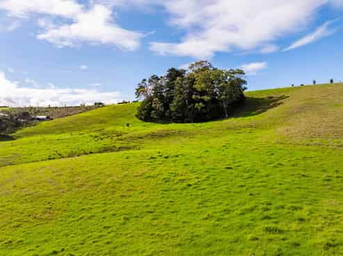 88 Heatherlea Drive, Ruakaka