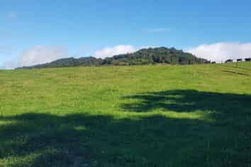  Poland Street, Waikino