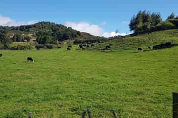  Princes Street, Waikino