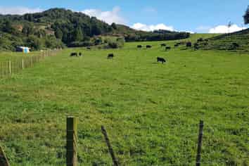  Princes Street, Waikino