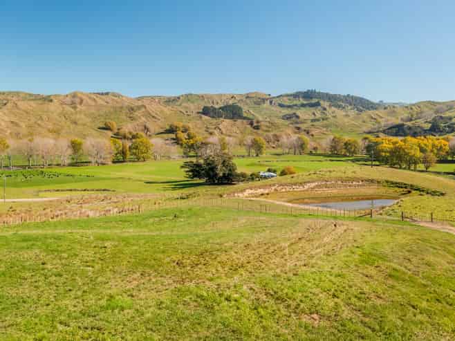 Lot 2, 169 Williams Road, Elsthorpe