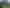 1251 East Coast Road, Kaiaua