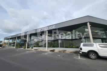 Mt Eden Showroom Opportunity Wont Last Long