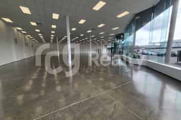 Mt Eden Showroom Opportunity Wont Last Long