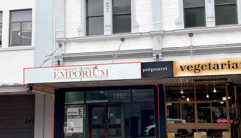 91 Lower Stuart Street, Dunedin Central