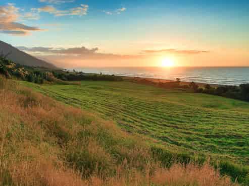 672C Nikau Road, Seddonville