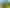 269B Kamo Road, Whau Valley